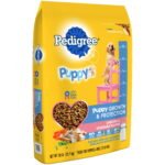 PEDIGREE Puppy Growth & Protection Dry Dog Food Chicken