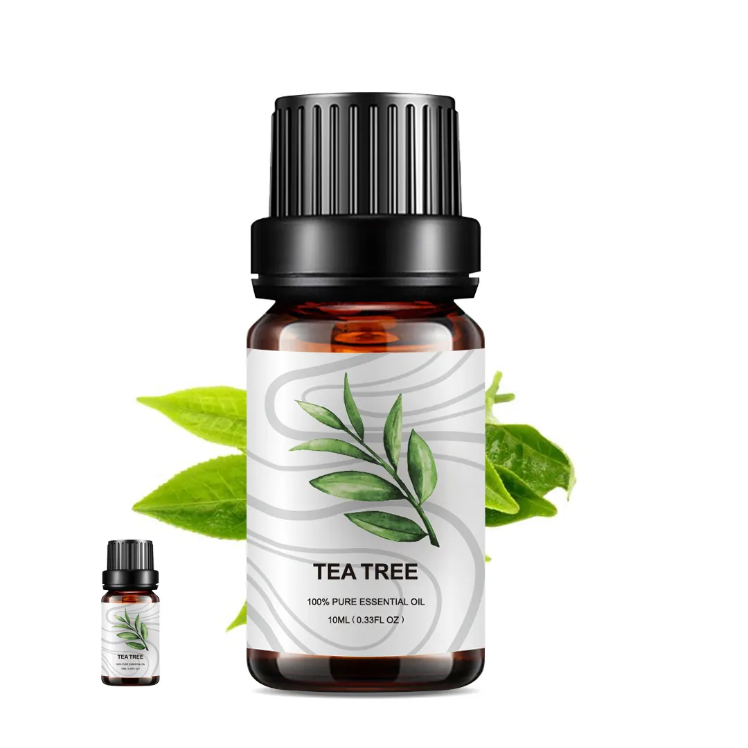 High-Grade-Tea-Tree-Essential-Oil-New.webp High Grade Tea Tree Essential Oil New Herbal Australian Tea Tree Loofah Essential Oil Anti-acne Natural Oil For Unisex - Image 1