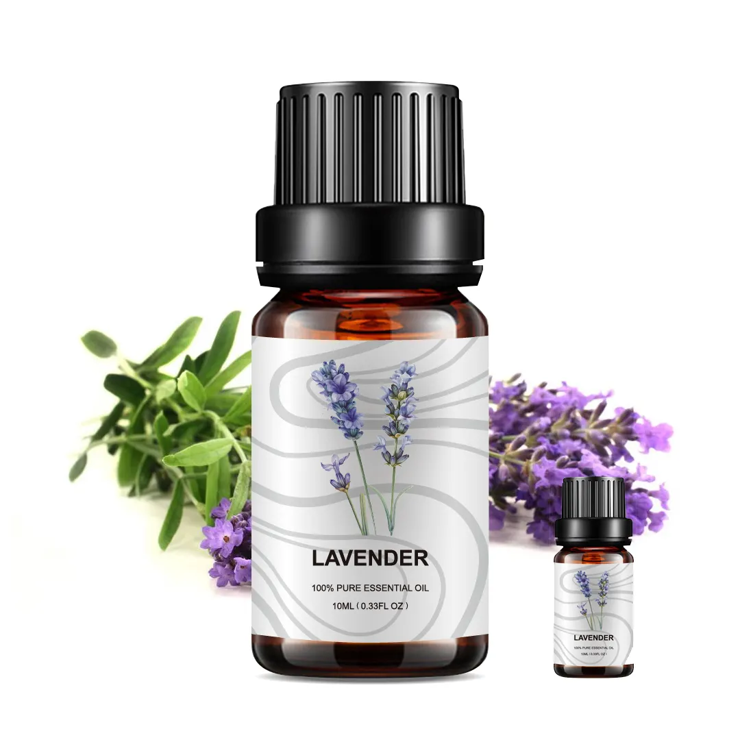 New-Arrival-Perfume-Essential-Oils-Help-Sleep.webp New Arrival Perfume Essential Oils Help Sleep Lavender Oil Moisturizing Essential Oil for the Body - Image 1